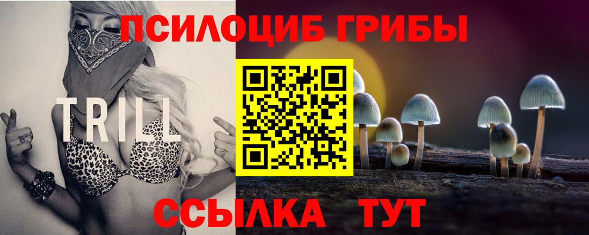 наркота  Псилоцибиновые грибы прущие грибы  Тобольск  Вход с VPN  Галлюциногенные грибы Psilocybe 